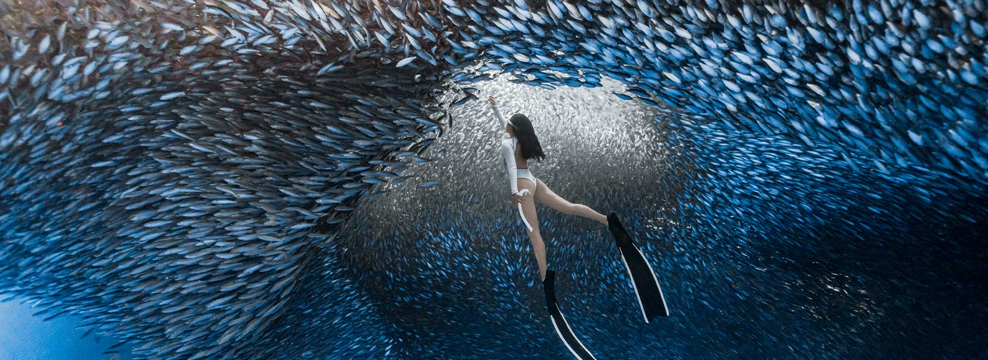 Freedive Academy Panglao gallery photo 1